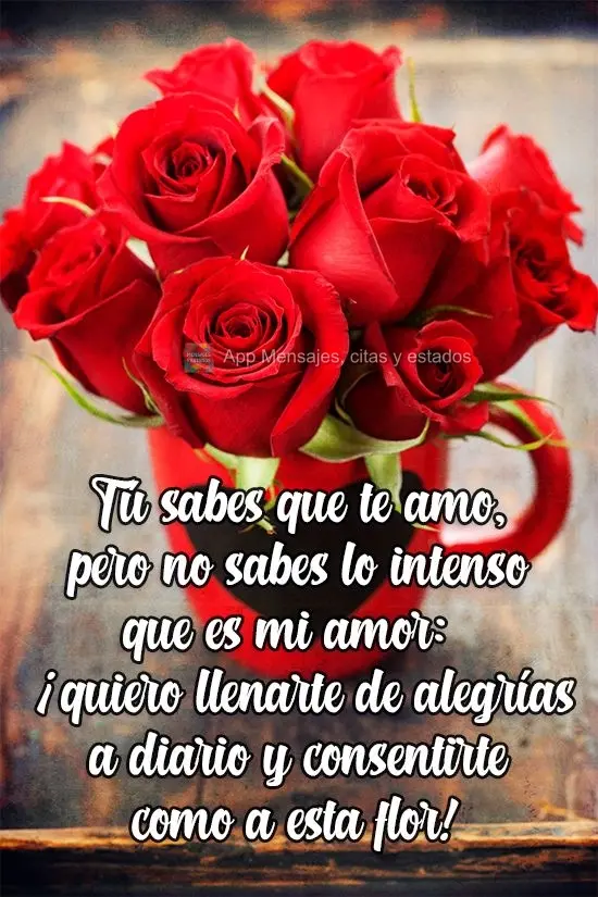 Tú sabes que te amo, pero no sabes lo intenso que es mi amor: ¡quiero llenarte de alegrías a diario y consentirte como a esta flor!