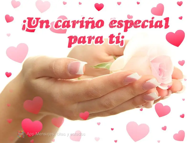 ¡Un cariño especial para ti¡