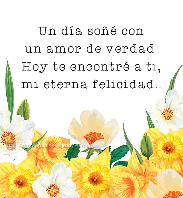 Un día soñé con un amor de verdad. Hoy te encontré a ti, mi eterna felicidad.
