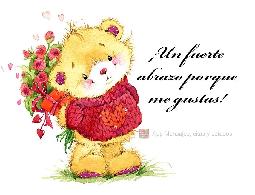 ¡Un fuerte abrazo porque me gustas!
