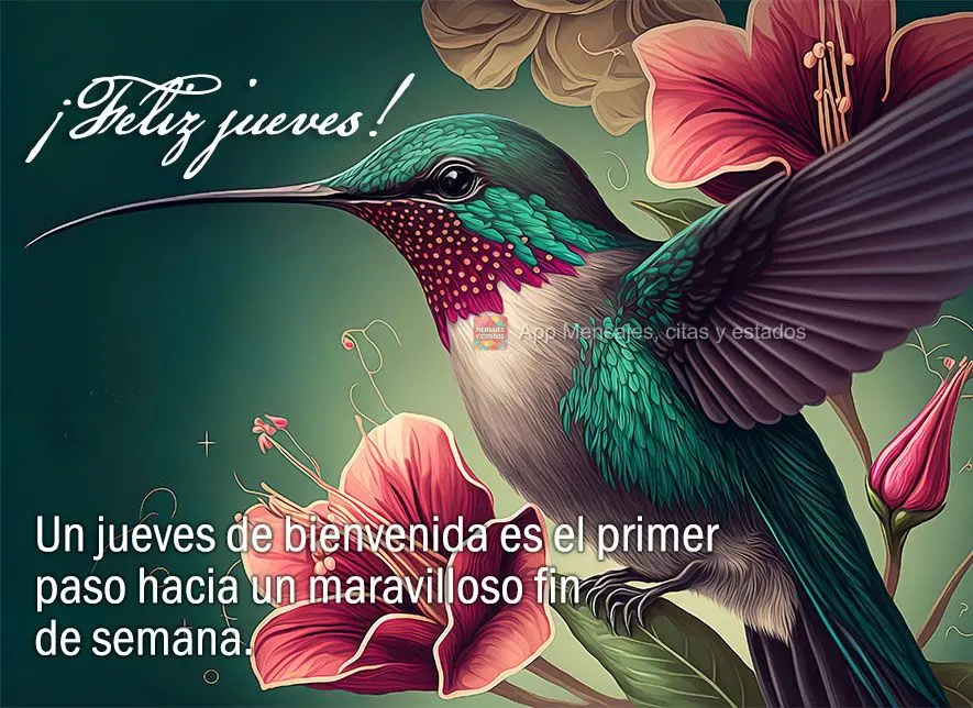 Un jueves de bienvenida es el primer paso hacia un maravilloso fin de semana. ¡Feliz jueves!