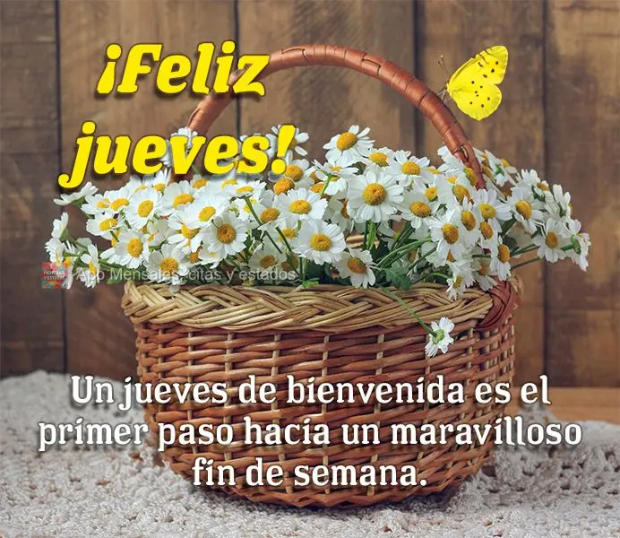 Un jueves de bienvenida es el primer paso hacia un maravilloso fin de semana. ¡Feliz jueves!
