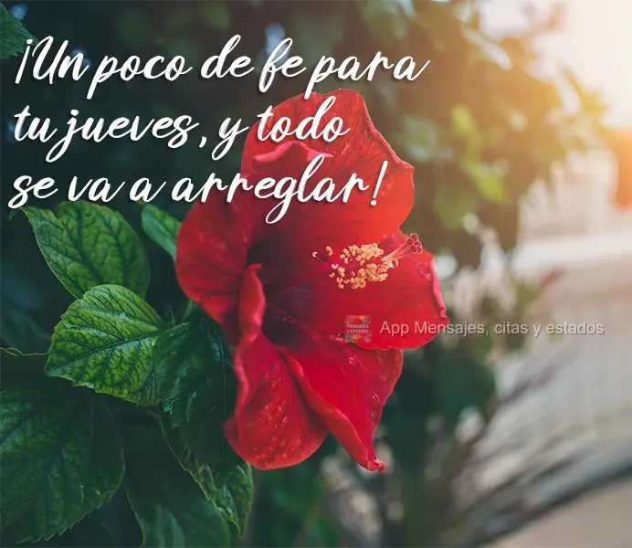 ¡Un poco de fe para tu jueves, y todo se va a arreglar!
