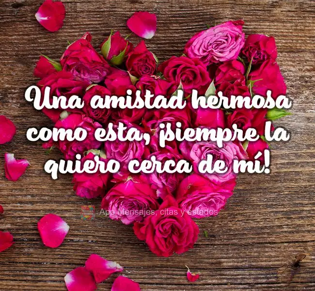 Una amistad hermosa como esta, ¡siempre la quiero cerca de mí!