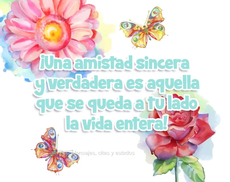 ¡Una amistad sincera y verdadera es aquella que se queda a tu lado la vida entera!