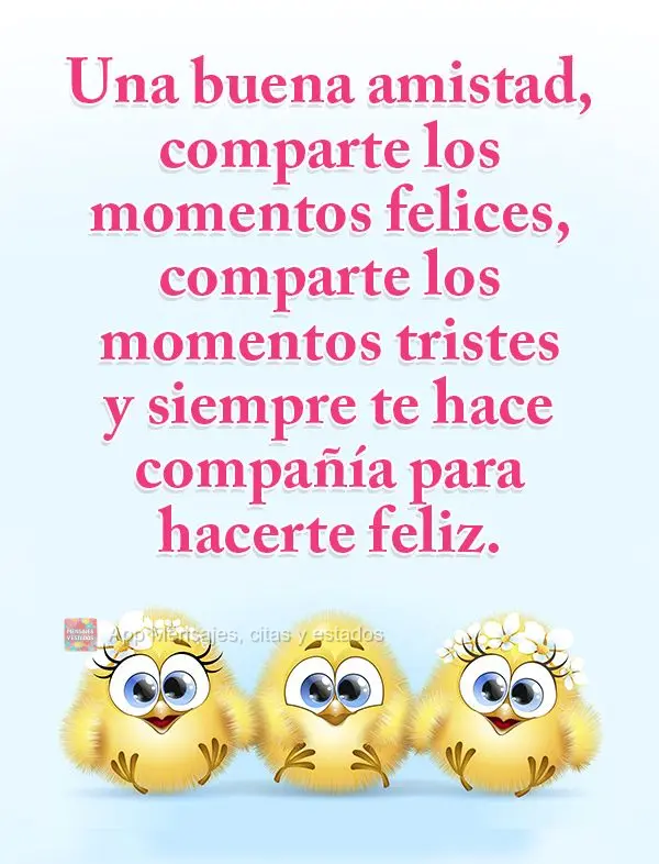 Una buena amistad, comparte los momentos felices, comparte los momentos tristes y siempre te hace compañía para hacerte feliz.