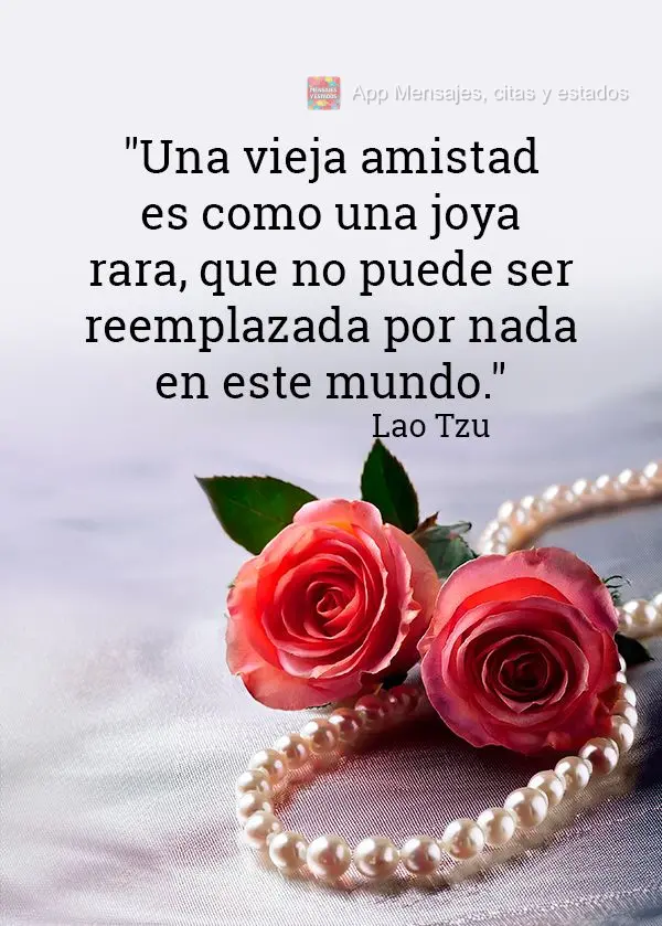 "Una vieja amistad es como una joya rara, que no puede ser reemplazada por nada en este mundo." Lao Tzu  