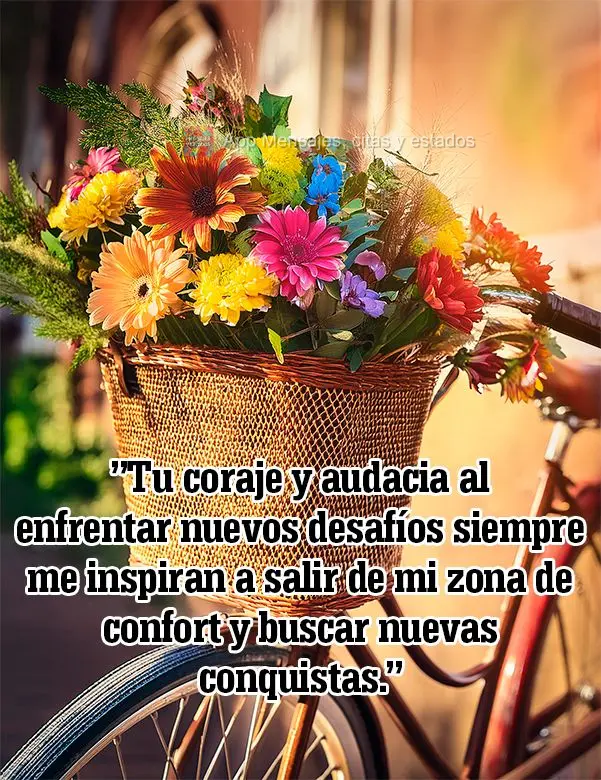 "Tu coraje y audacia al enfrentar nuevos desafíos siempre me inspiran a salir de mi zona de confort y buscar nuevas conquistas."
