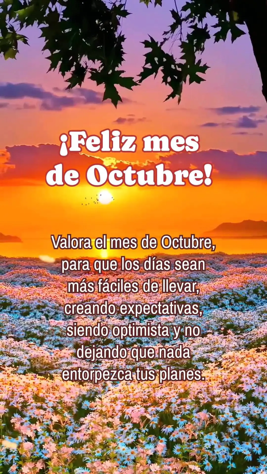Valora el mes de Octubre, para que los días sean más fáciles de llevar, creando expectativas, siendo optimista y no dejando que nada entorpezca tus pl...