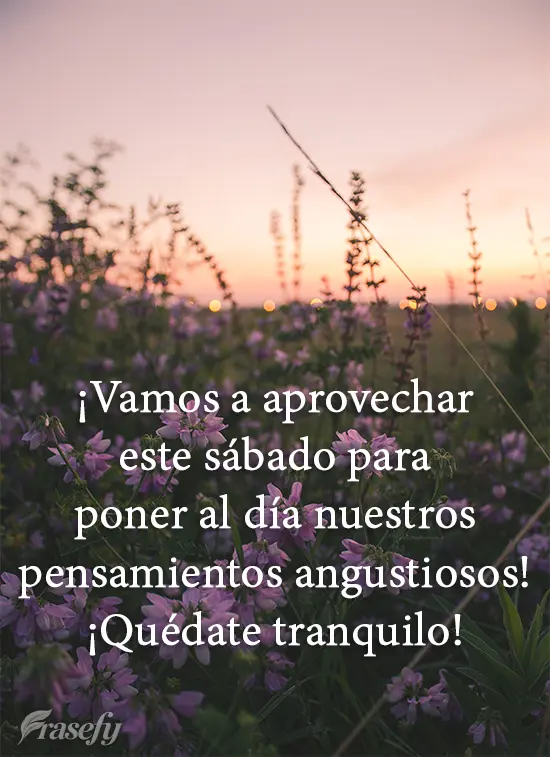 ¡Vamos a aprovechar este sábado para poner al día nuestros pensamientos angustiosos! ¡Quédate tranquilo!