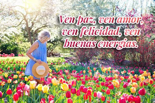 Ven paz, ven amor, ven felicidad, ven buenas energias.