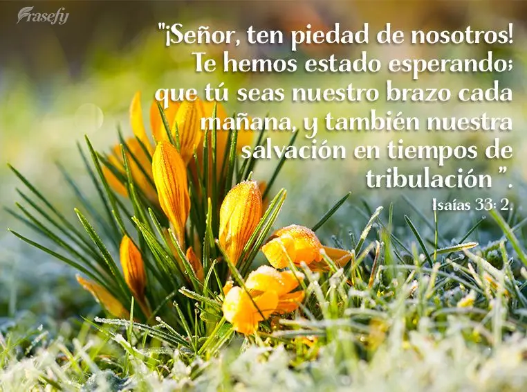 “Senhor, tem misericórdia de nós! Por ti temos esperado; sê tu o nosso braço cada manhã, como também a nossa salvação em tempos de tribulação...