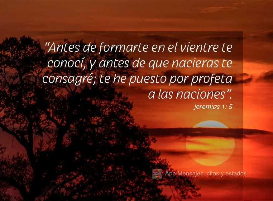 “Antes de formarte en el vientre te conocí, y antes de que nacieras te consagré; te he puesto por profeta a las naciones”. Jeremías 1:5