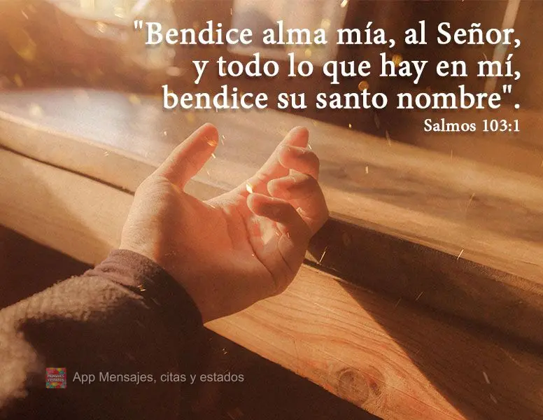 "Bendice alma mía, al Señor, y todo lo que hay en mí, bendice su santo nombre". Salmos 103:1