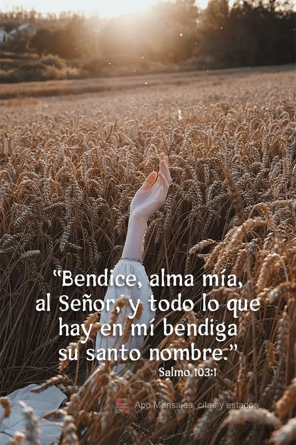 "Bendice, alma mía, al Señor, y todo lo que hay en mí bendiga su santo nombre". Salmo 103: 1