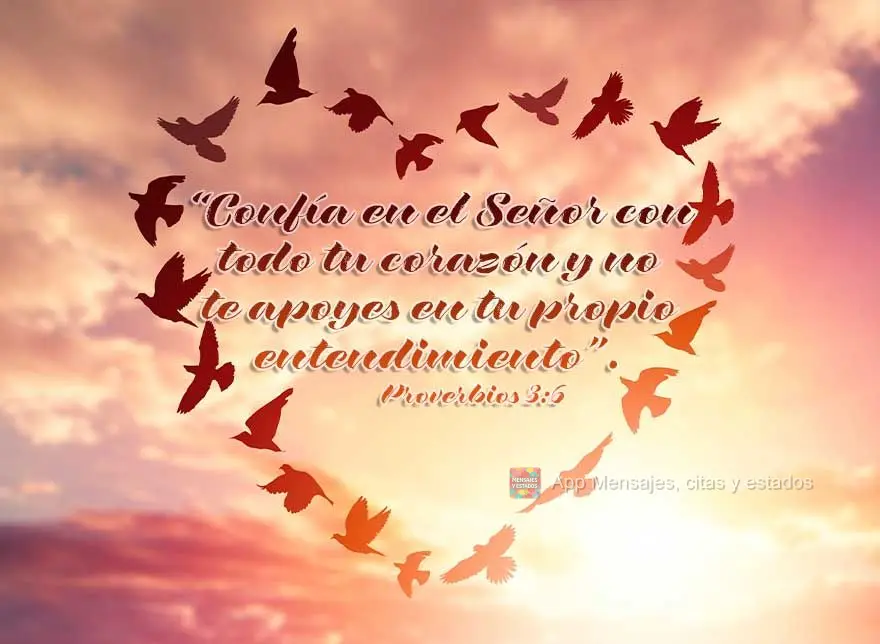 “Confía en el Señor con todo tu corazón y no te apoyes en tu propio entendimiento”. Proverbios 3:6