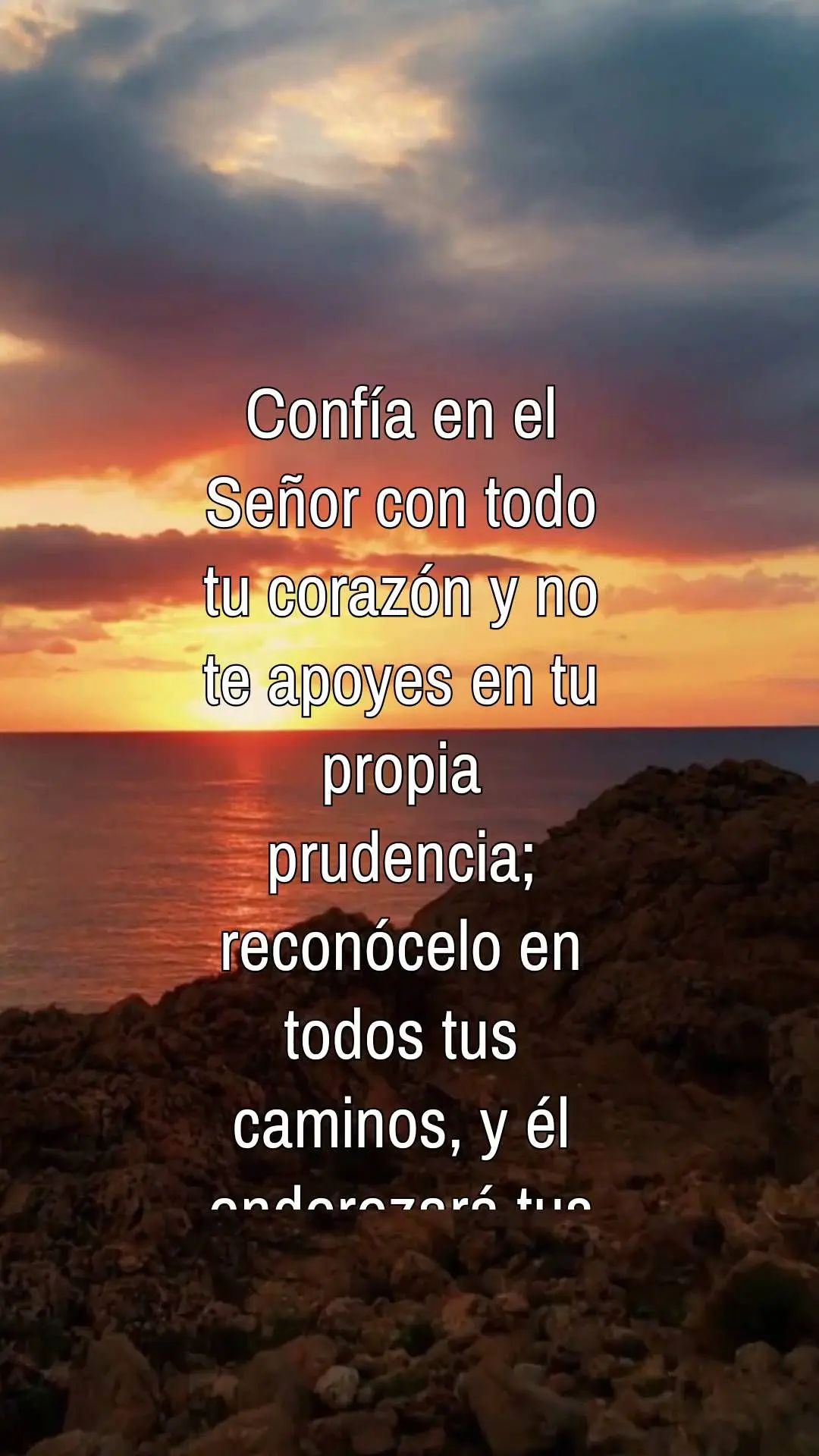 Confía en el Señor con todo tu corazón y no te apoyes en tu propia prudencia; reconócelo en todos tus caminos, y él enderezará tus veredas. Proverb...