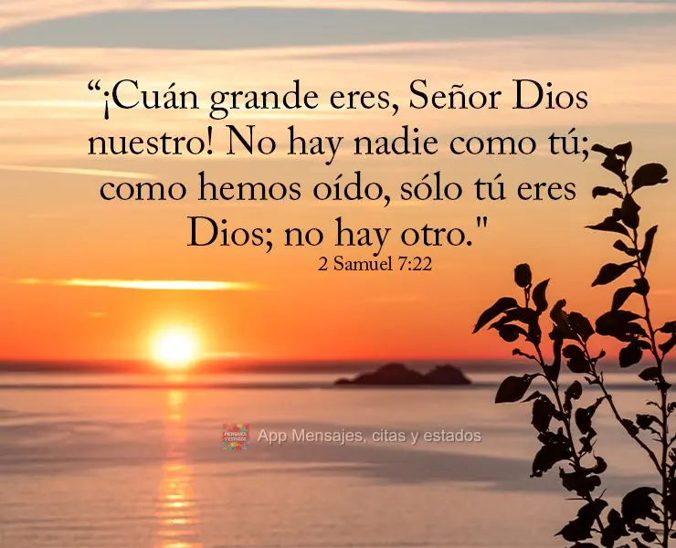 “¡Cuán grande eres, Señor Dios nuestro! No hay nadie como tú; como hemos oído, sólo tú eres Dios; no hay otro." 2 Samuel 7:22