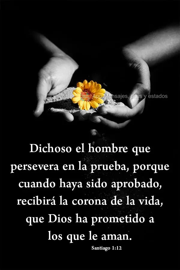 Dichoso el hombre que persevera en la prueba, porque cuando haya sido aprobado, recibirá la corona de la vida, que Dios ha prometido a los que le aman. ...
