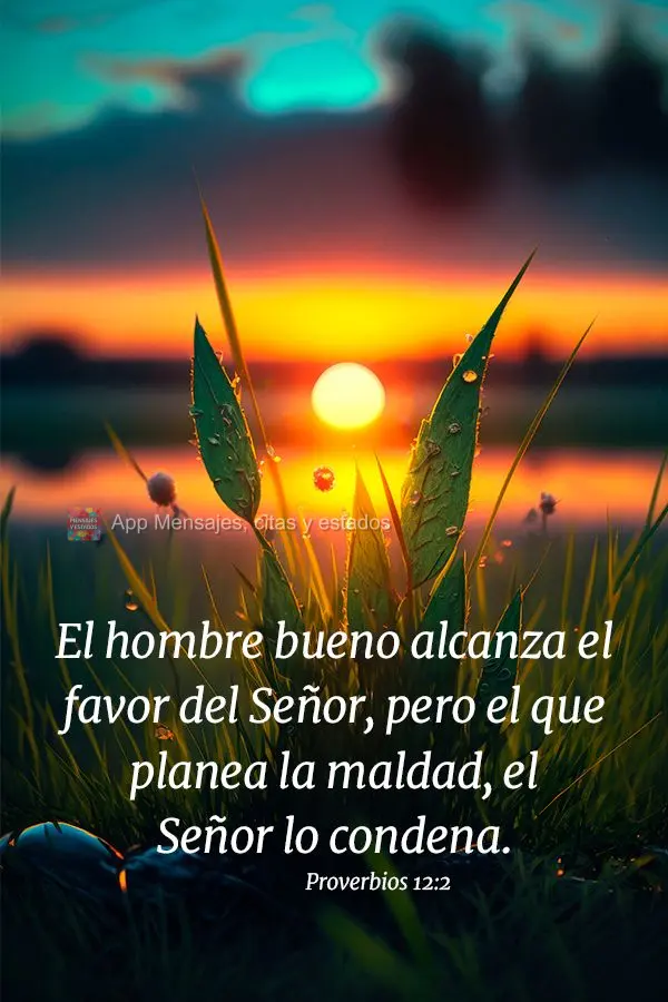 El hombre bueno alcanza el favor del Señor, pero el que planea la maldad, el Señor lo condena. Proverbios 12:2