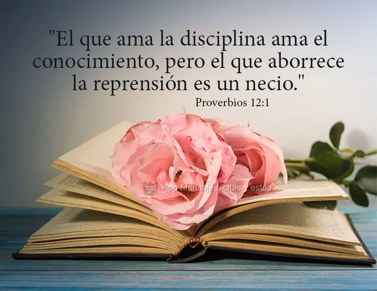 "El que ama la disciplina ama el conocimiento, pero el que aborrece la reprensión es un necio." Proverbios 12