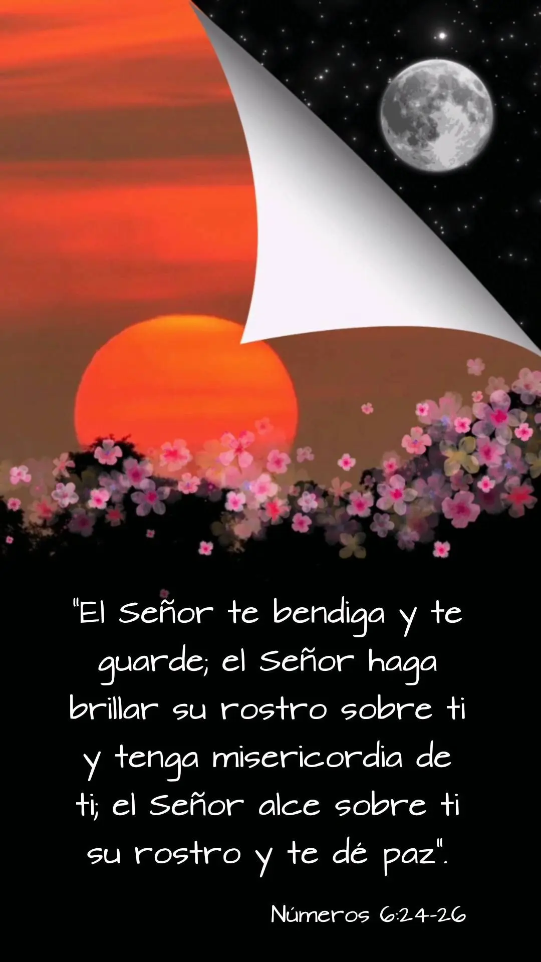 "El Señor te bendiga y te guarde; el Señor haga brillar su rostro sobre ti y tenga misericordia de ti; el Señor alce sobre ti su rostro y te dé paz"....