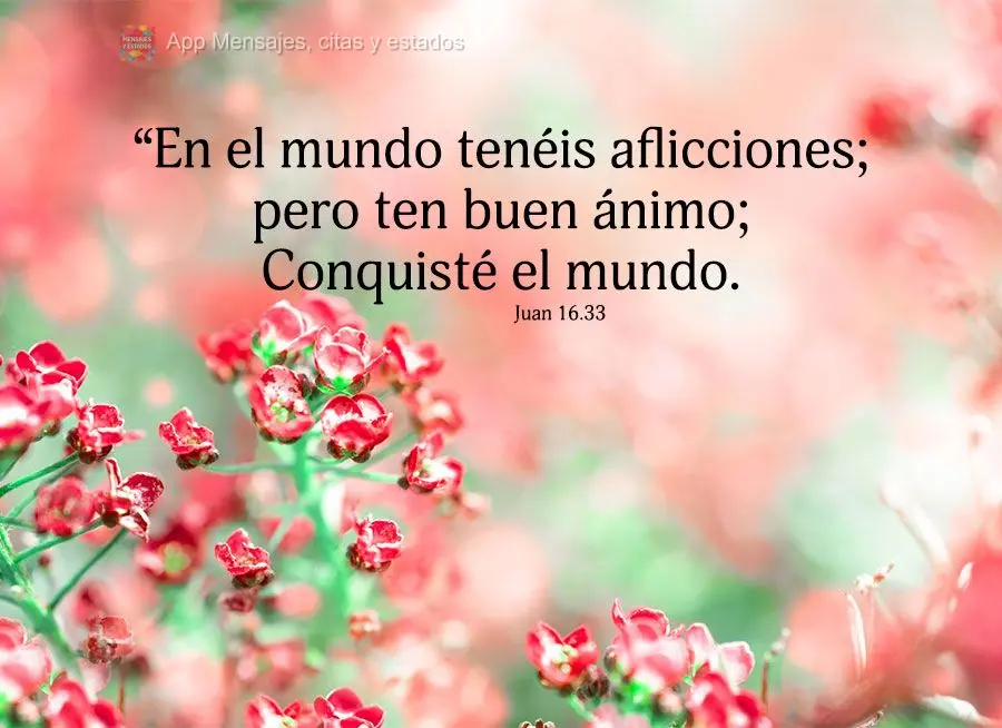“En el mundo tenéis aflicciones; pero ten buen ánimo; Conquisté el mundo. Juan 16.33