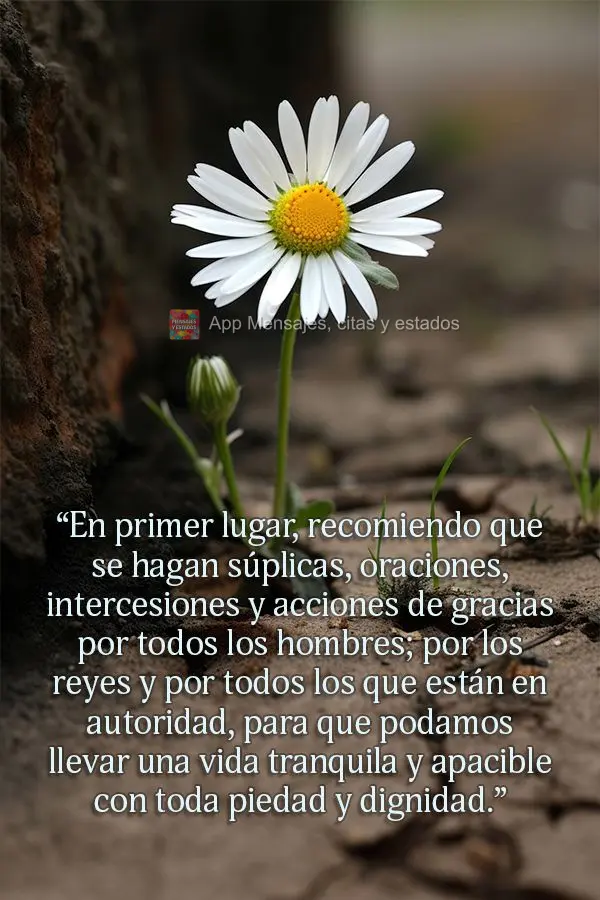 “En primer lugar, recomiendo que se hagan súplicas, oraciones, intercesiones y acciones de gracias por todos los hombres; por los reyes y por todos lo...