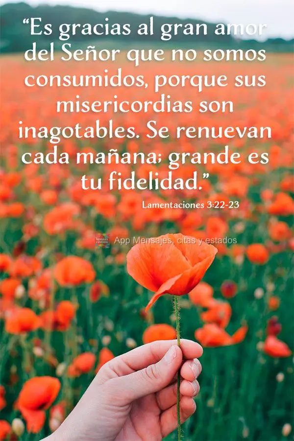 “Es gracias al gran amor del Señor que no somos consumidos, porque sus misericordias son inagotables. Se renuevan cada mañana; grande es tu fidelidad...