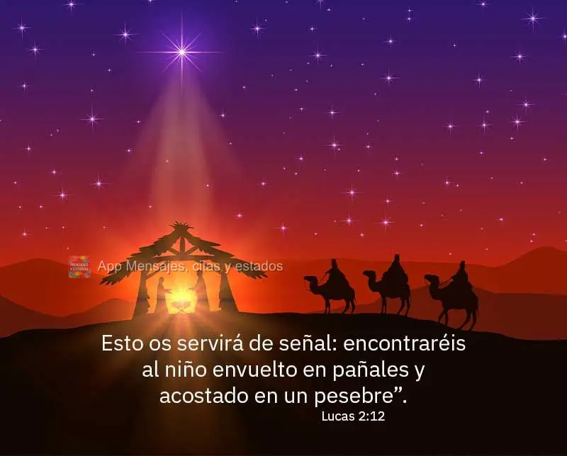 Esto os servirá de señal: encontraréis al niño envuelto en pañales y acostado en un pesebre”. Lucas 2:12