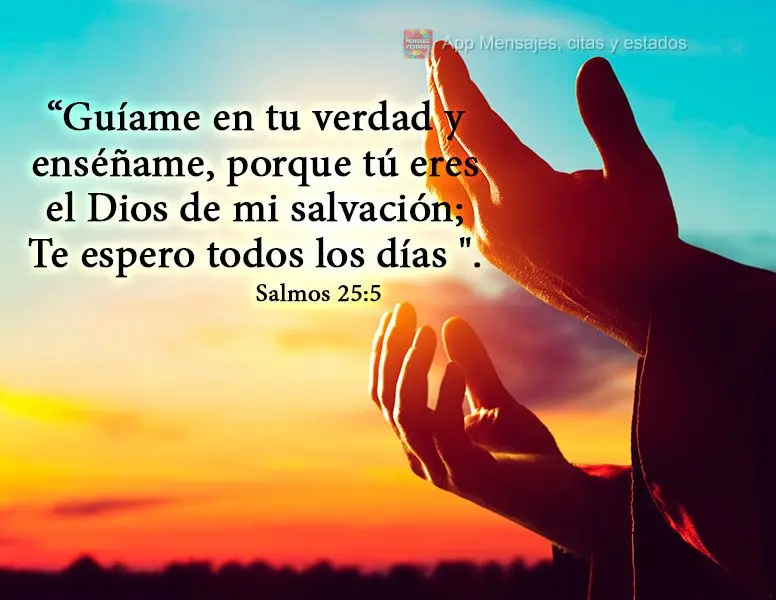 “Guíame en tu verdad y enséñame, porque tú eres el Dios de mi salvación; Te espero todos los días ".  Salmos 25:5