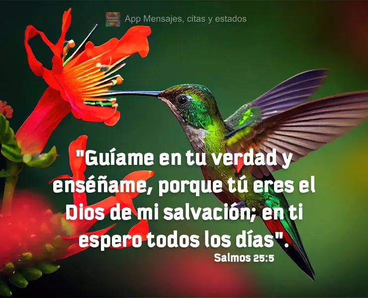 "Guíame en tu verdad y enséñame, porque tú eres el Dios de mi salvación; en ti espero todos los días". Salmos 25:5