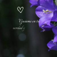 "Guíame en tu verdad y enséñame, porque tú eres el Dios de mi salvación; en ti espero todos los días". Salmos 25:5