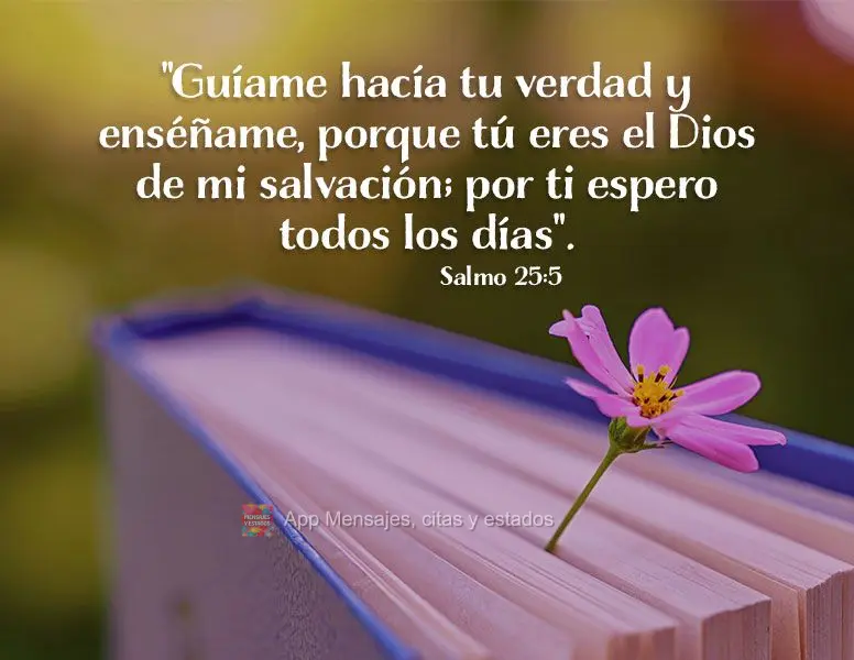"Guíame hacía tu verdad y enséñame, porque tú eres el Dios de mi salvación; por ti espero todos los días". Salmo 25:5