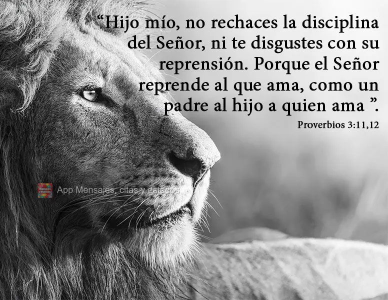 “Hijo mío, no rechaces la disciplina del Señor, ni te disgustes con su reprensión. Porque el Señor reprende al que ama, como un padre al hijo a qui...