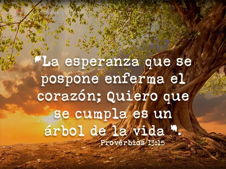 “La esperanza que se pospone enferma el corazón; Quiero que se cumpla es un árbol de la vida ”. Provérbios 13:15