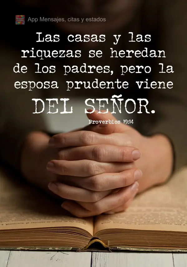 Las casas y las riquezas se heredan de los padres, pero la esposa prudente viene del Señor. Proverbios 19:14