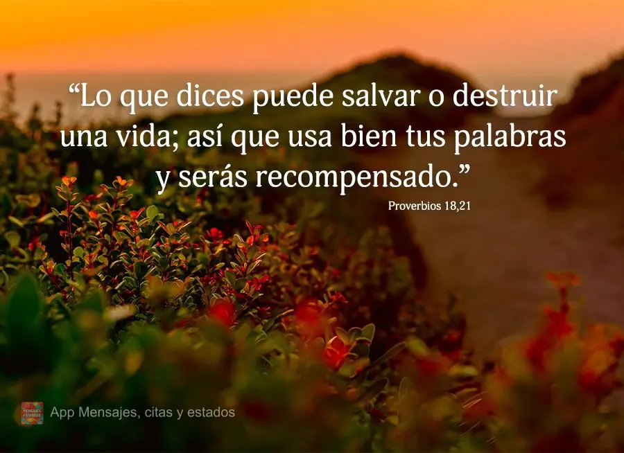 “Lo que dices puede salvar o destruir una vida; así que usa bien tus palabras y serás recompensado.” Proverbios 18,21