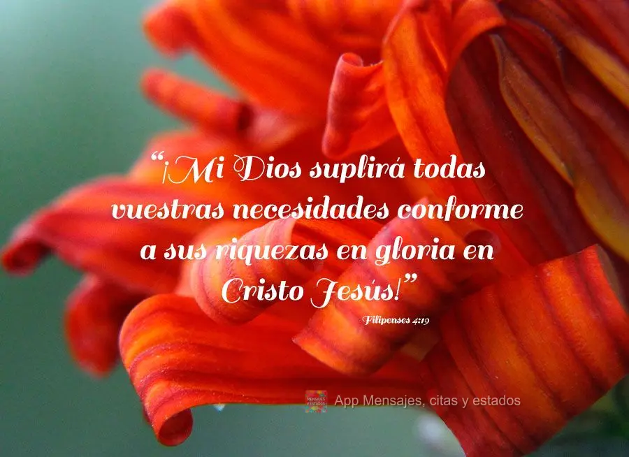 “¡Mi Dios suplirá todas vuestras necesidades conforme a sus riquezas en gloria en Cristo Jesús!” Filipenses 4.19
