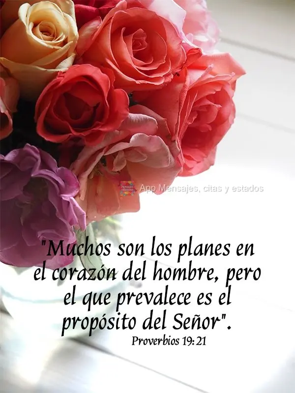 "Muchos son los planes en el corazón del hombre, pero el que prevalece es el propósito del Señor". Proverbios 19:21
