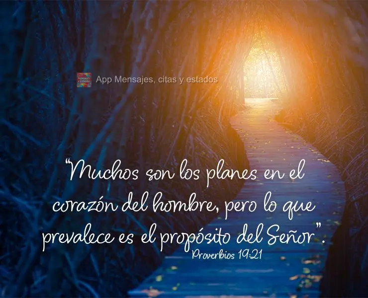 “Muchos son los planes en el corazón del hombre, pero lo que prevalece es el propósito del Señor”. Proverbios 19:21