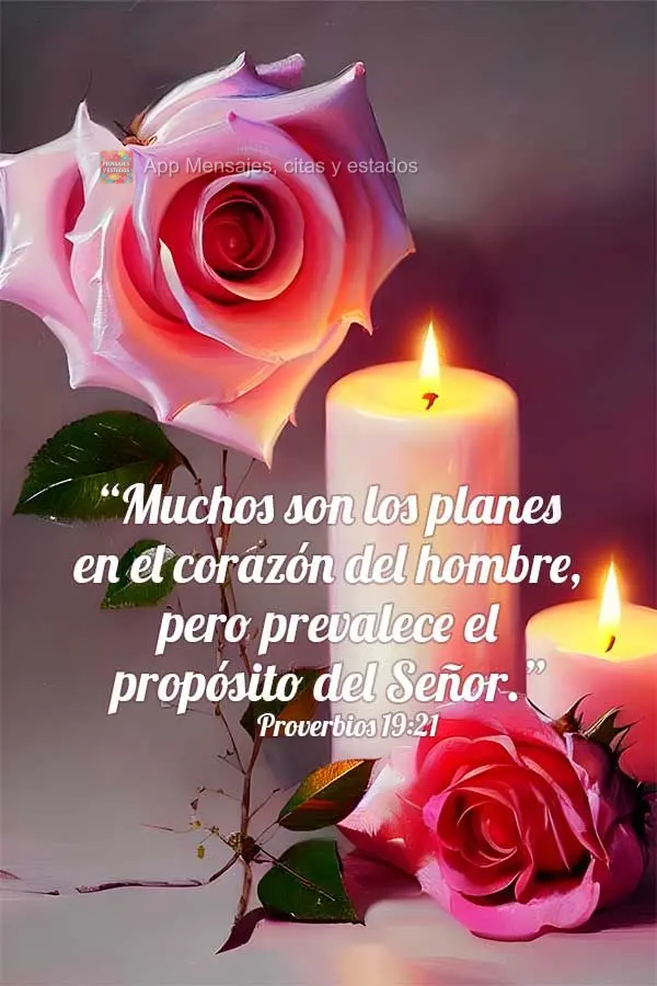 “Muchos son los planes en el corazón del hombre, pero prevalece el propósito del Señor.” Proverbios 19:21