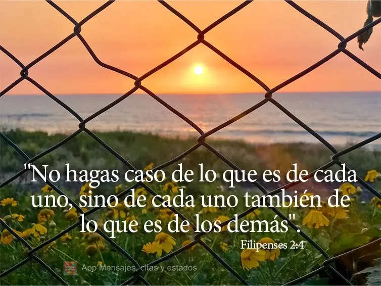 "No hagas caso de lo que es de cada uno, sino de cada uno también de lo que es de los demás". Filipenses 2:4