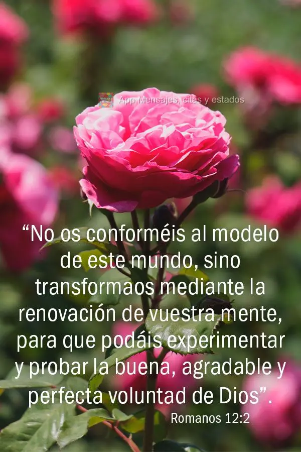 “No os conforméis al modelo de este mundo, sino transformaos mediante la renovación de vuestra mente, para que podáis experimentar y probar la buena...