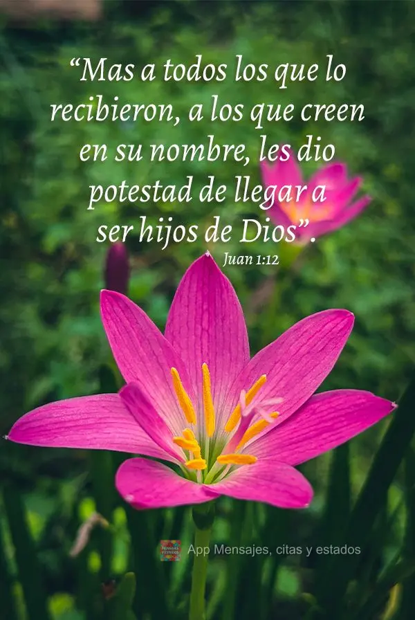 “Pero a todos los que lo recibieron, a los que creyeron en su nombre, les dio potestad de llegar a ser hijos de Dios”. Juan 1:12