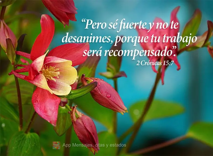 “Pero sé fuerte y no te desanimes, porque tu trabajo será recompensado”. 2 Crónicas 15:7