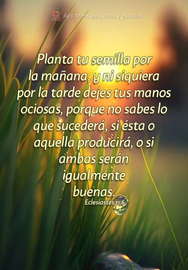 Planta tu semilla por la mañana, y ni siquiera por la tarde dejes tus manos ociosas, porque no sabes lo que sucederá, si ésta o aquella producirá, o ...