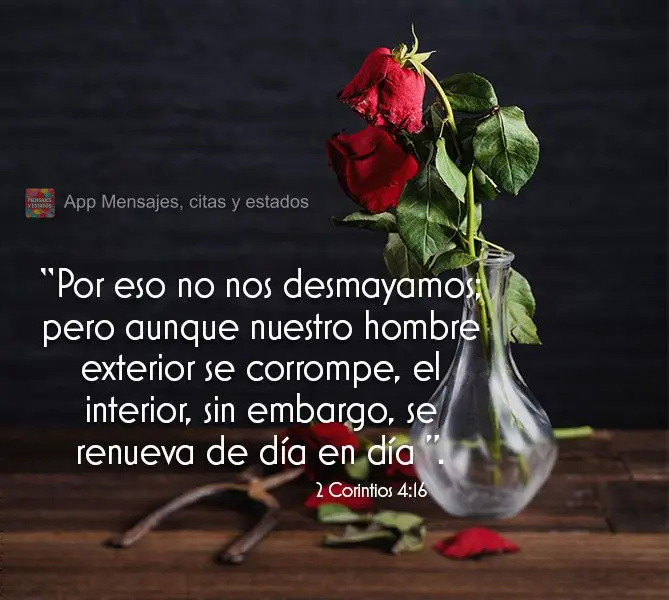 “Por eso no nos desmayamos; pero aunque nuestro hombre exterior se corrompe, el interior, sin embargo, se renueva de día en día ”. 2 Corintios 4:16...