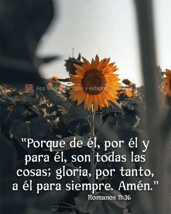 “Porque de él, por él y para él, son todas las cosas; gloria, por tanto, a él para siempre. Amén." Romanos 11:36