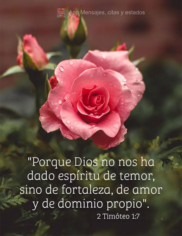 "Porque Dios no nos ha dado espíritu de temor, sino de fortaleza, de amor y de dominio propio".  2 Timóteo 1:7